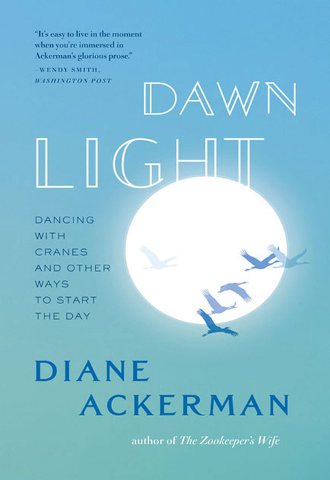 Cover image for book Dawn Light