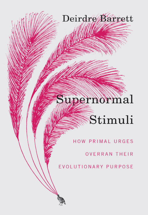 Cover image for book Supernormal Stimuli