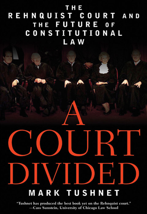 Cover image for book A Court Divided