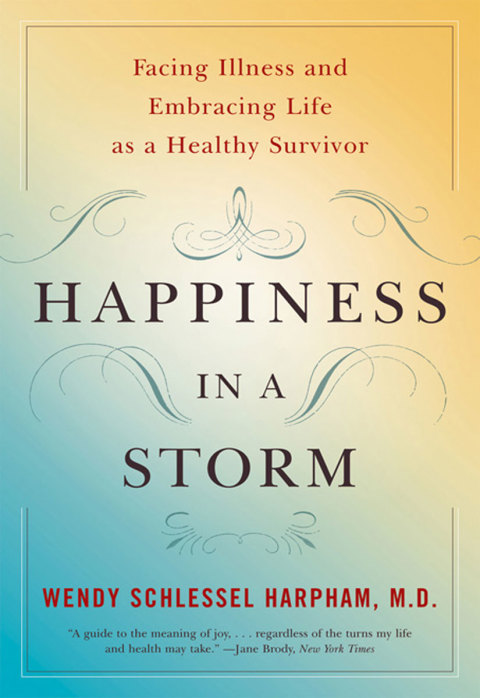 Cover image for book Happiness in a Storm