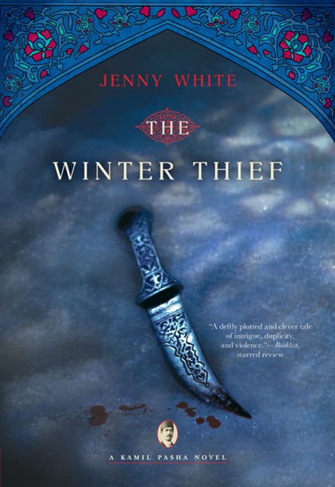 Cover image for book The Winter Thief