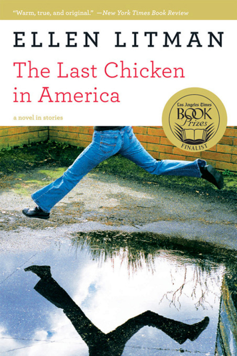 Cover image for book The Last Chicken in America