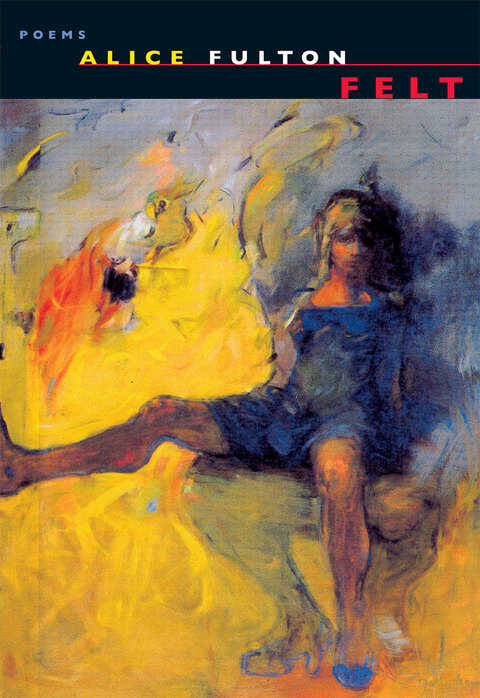Cover image for book Felt
