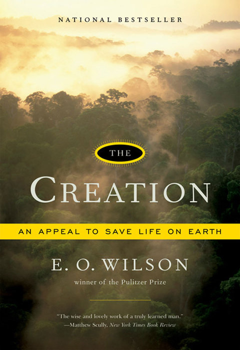 Cover image for book The Creation