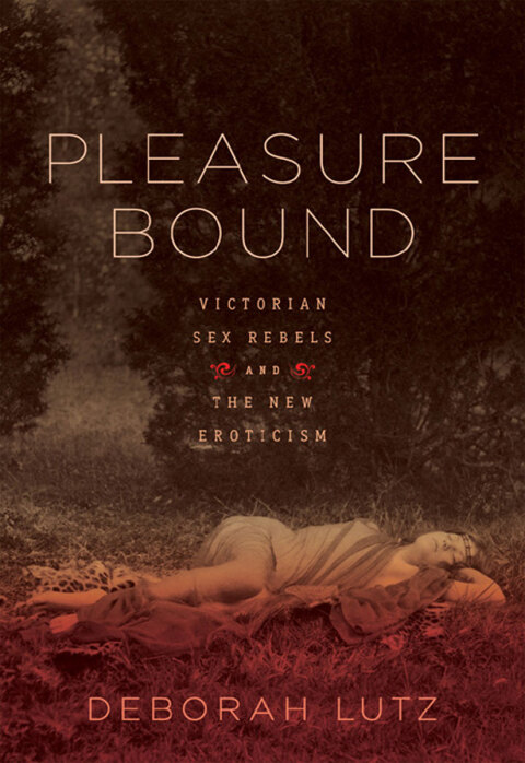Cover image for book Pleasure Bound