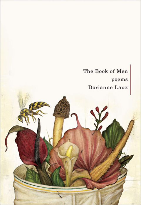 Cover image for book The Book of Men