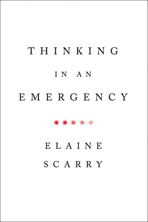 Cover image for book Thinking in an Emergency