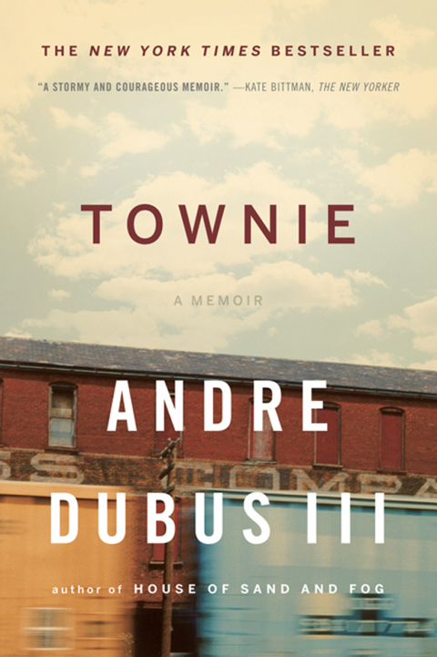 Cover image for book Townie