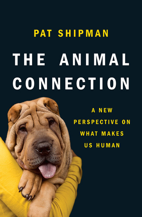 Cover image for book The Animal Connection