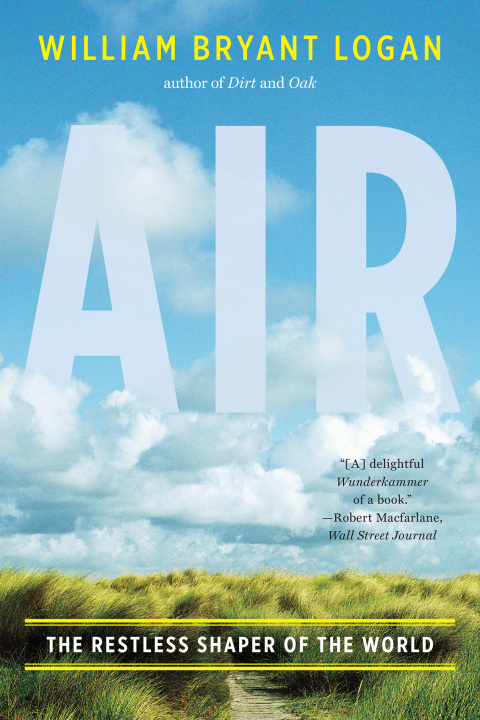 Cover image for book Air