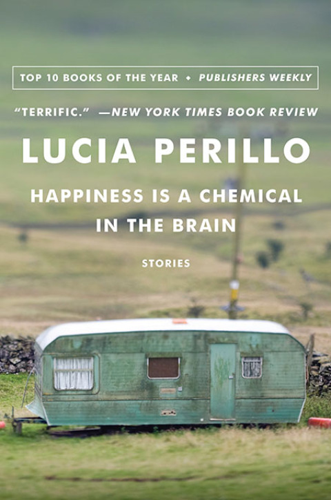 Cover image for book Happiness Is a Chemical in the Brain