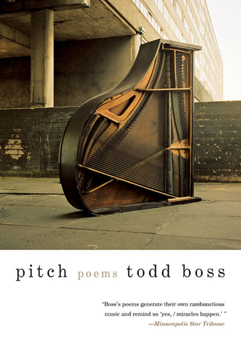 Cover image for book Pitch