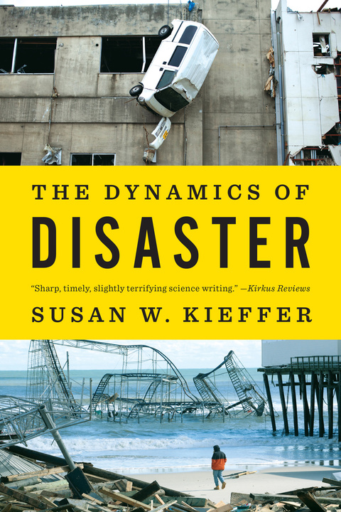 Cover image for book The Dynamics of Disaster