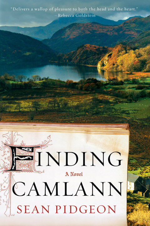 Cover image for book Finding Camlann: A Novel