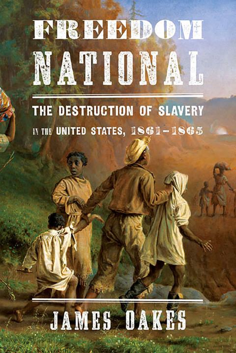Cover image for book Freedom National