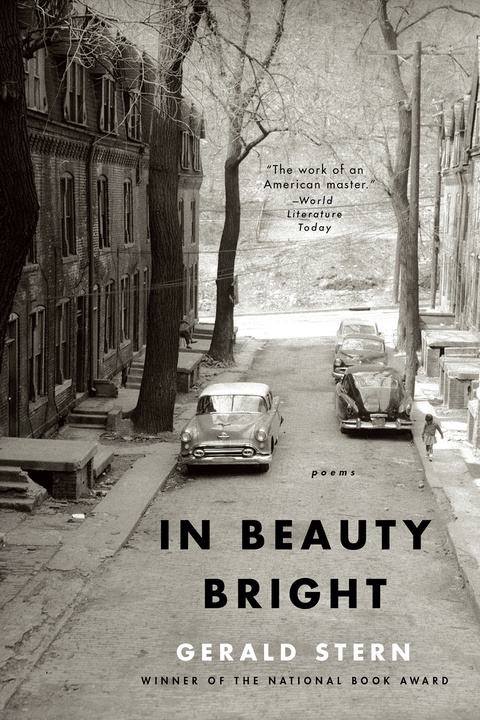 Cover image for book In Beauty Bright