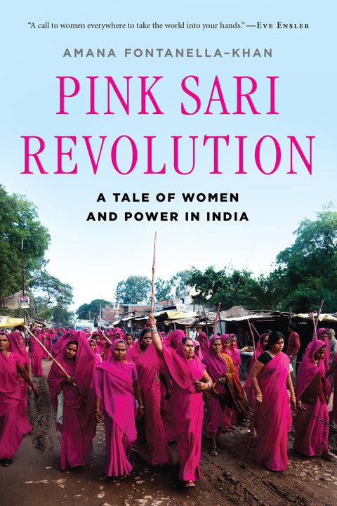 Cover image for book Pink Sari Revolution
