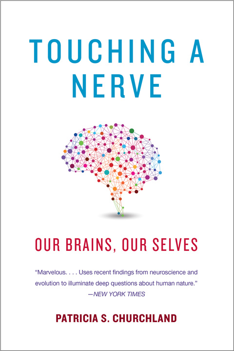 Cover image for book Touching a Nerve