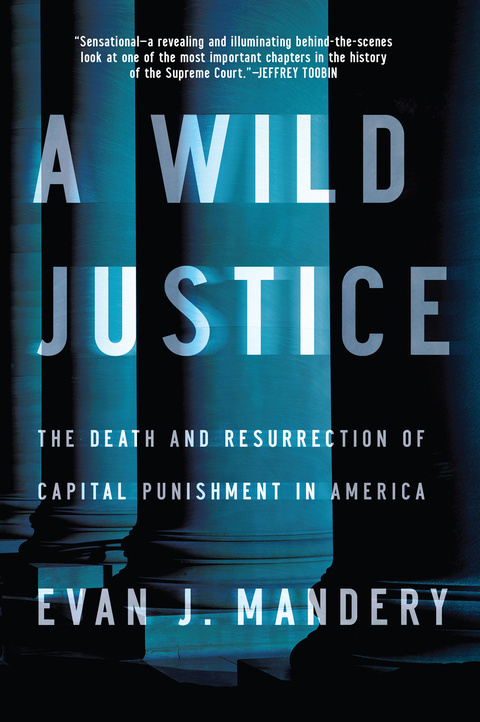 Cover image for book A Wild Justice