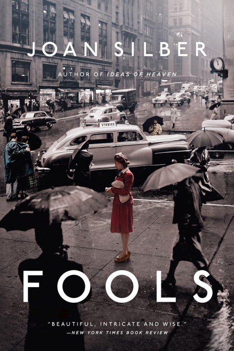 Cover image for book Fools
