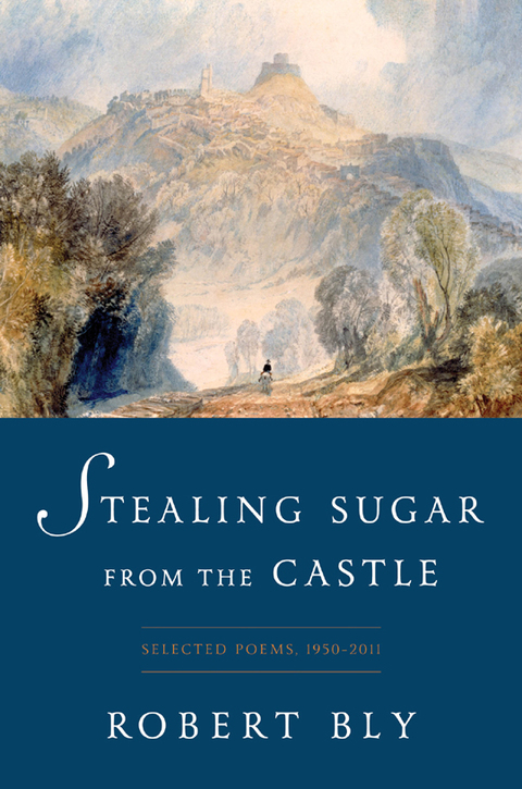 Cover image for book Stealing Sugar from the Castle