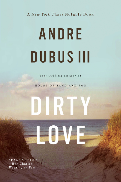 Cover image for book Dirty Love