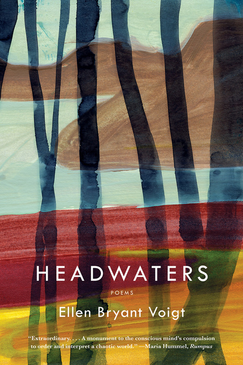 Cover image for book Headwaters