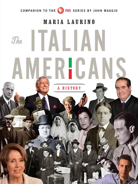Cover image for book The Italian Americans: A History