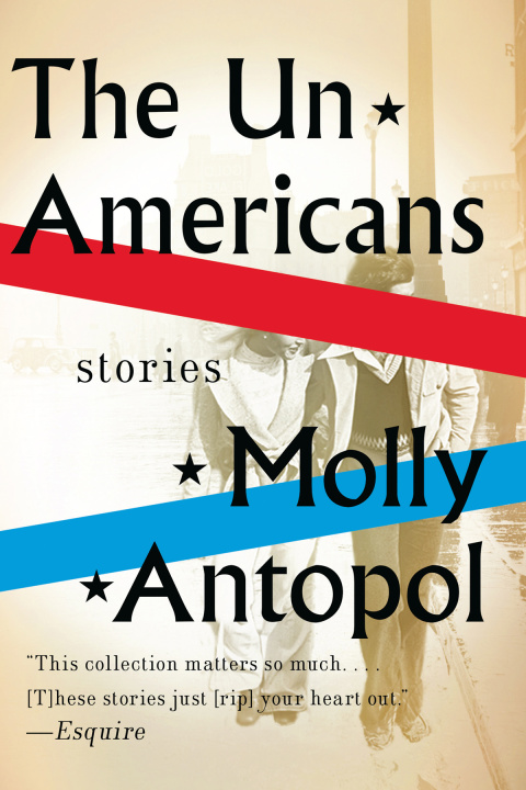 Cover image for book The Un-Americans