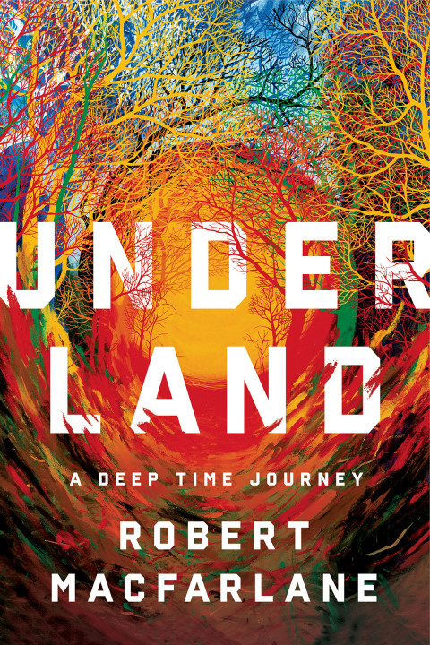 Cover image for book Underland