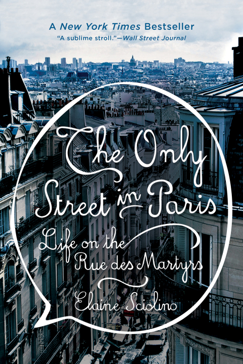 Cover image for book The Only Street in Paris