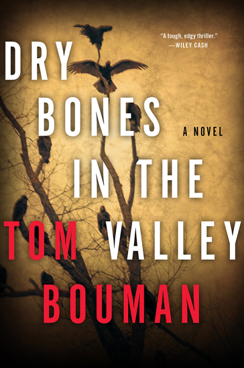 Cover image for book Dry Bones in the Valley