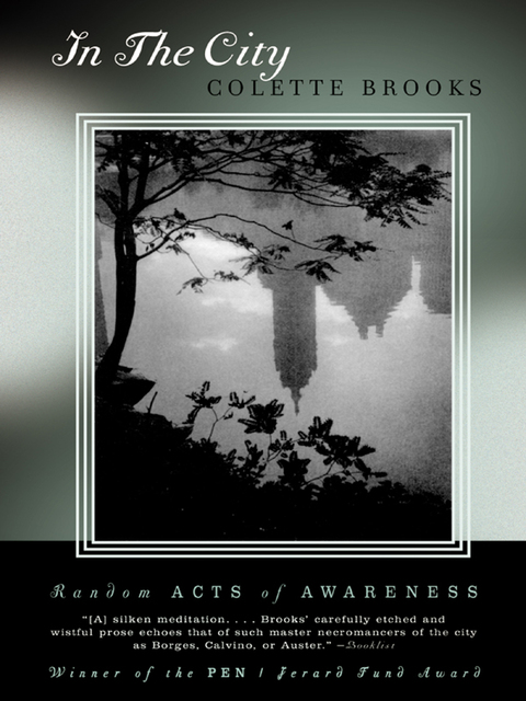 Cover image for book In the City