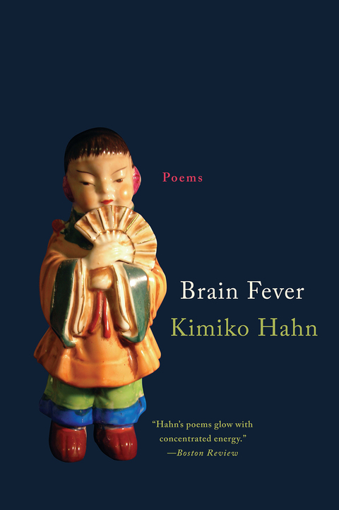 Cover image for book Brain Fever