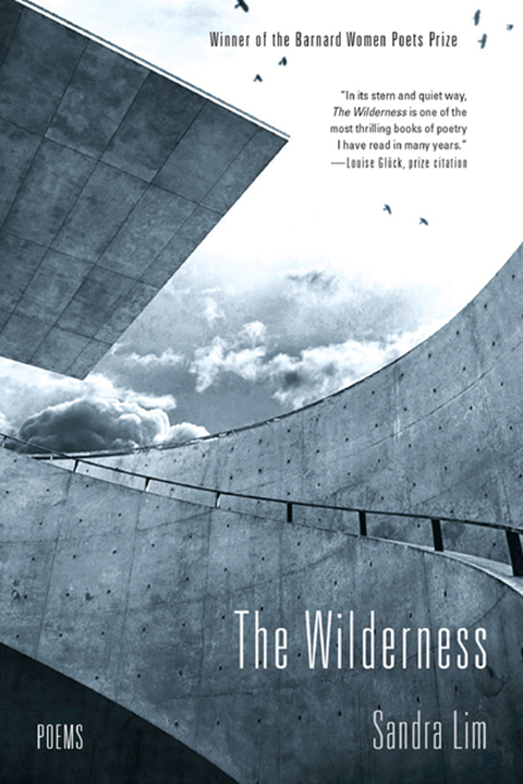 Cover image for book The Wilderness