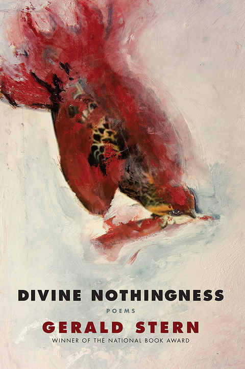 Cover image for book Divine Nothingness