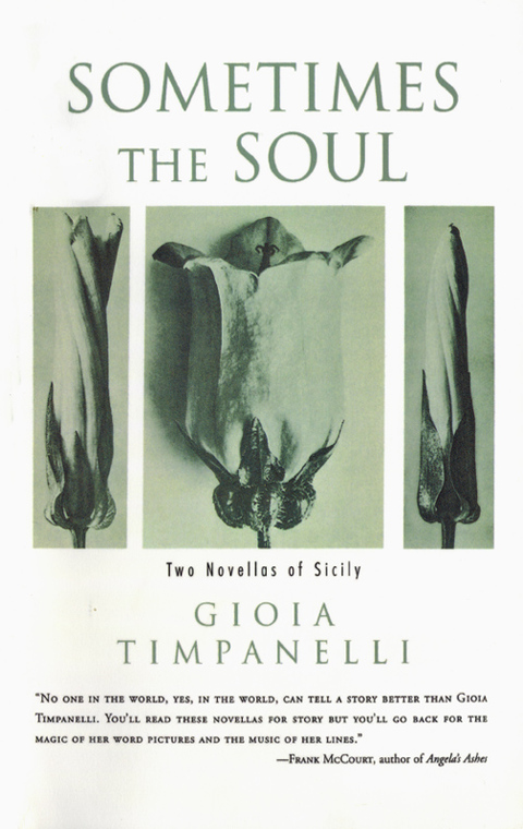 Cover image for book Sometimes the Soul