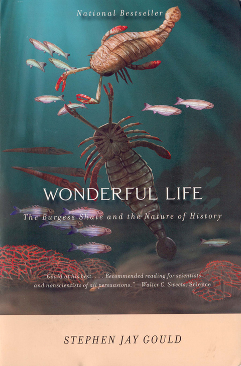 Cover image for book Wonderful Life