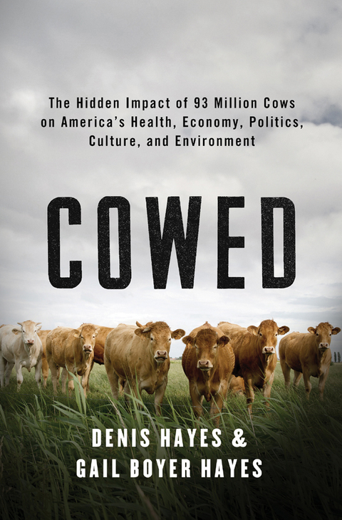 Cover image for book Cowed