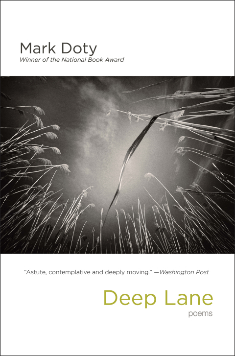 Cover image for book Deep Lane