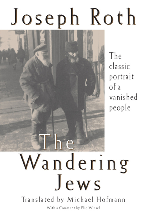 Cover image for book The Wandering Jews