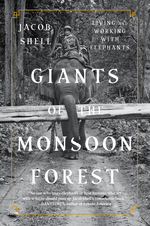Cover image for book Giants of the Monsoon Forest