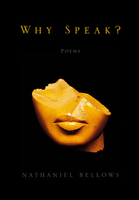 Cover image for book Why Speak?