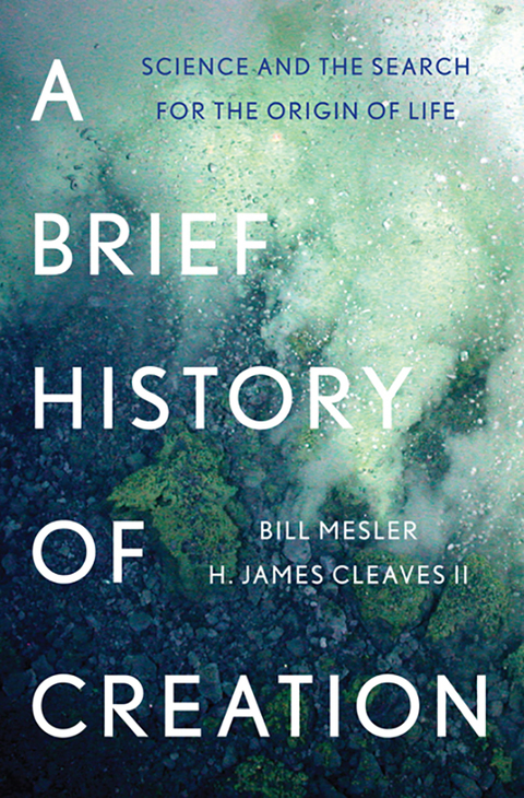 Cover image for book A Brief History of Creation