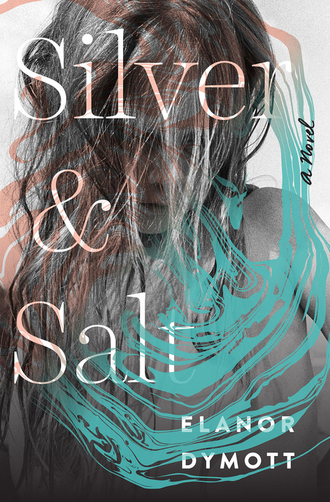 Cover image for book Silver and Salt: A Novel