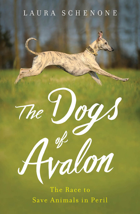 Cover image for book The Dogs of Avalon