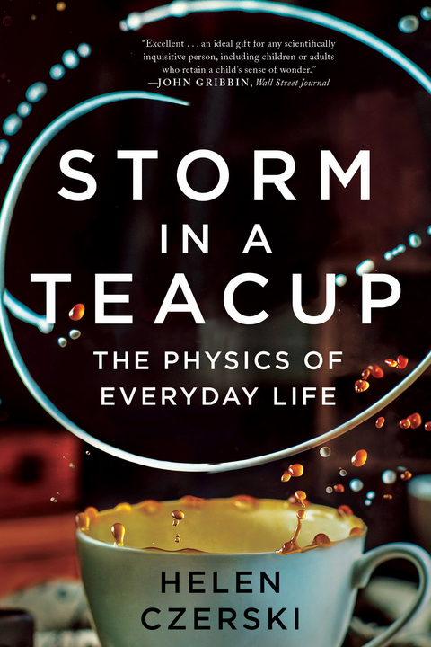 Cover image for book Storm in a Teacup: The Physics of Everyday Life