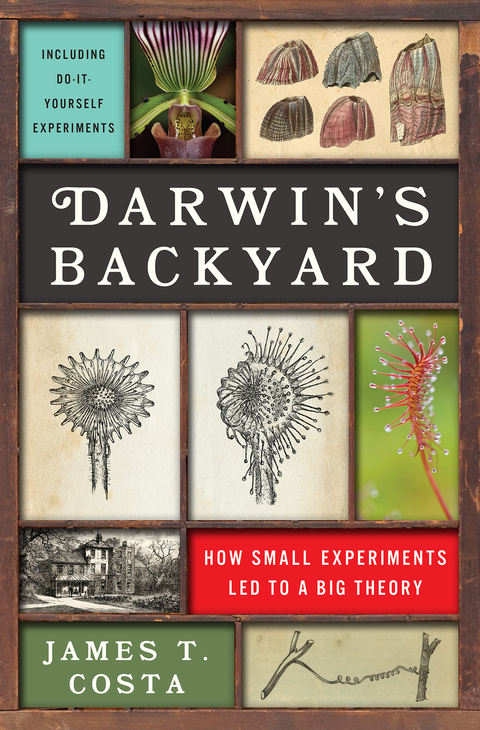 Cover image for book Darwin's Backyard
