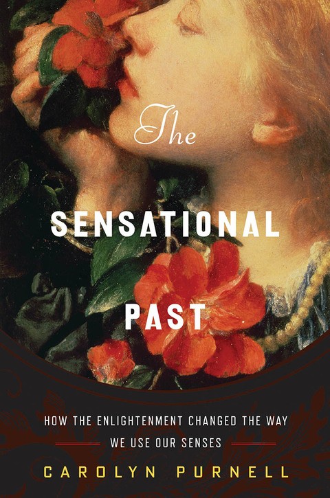 Cover image for book The Sensational Past