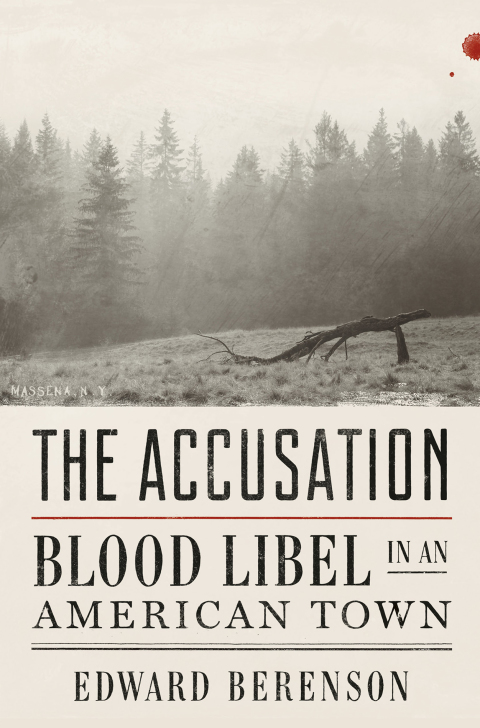 Cover image for book The Accusation